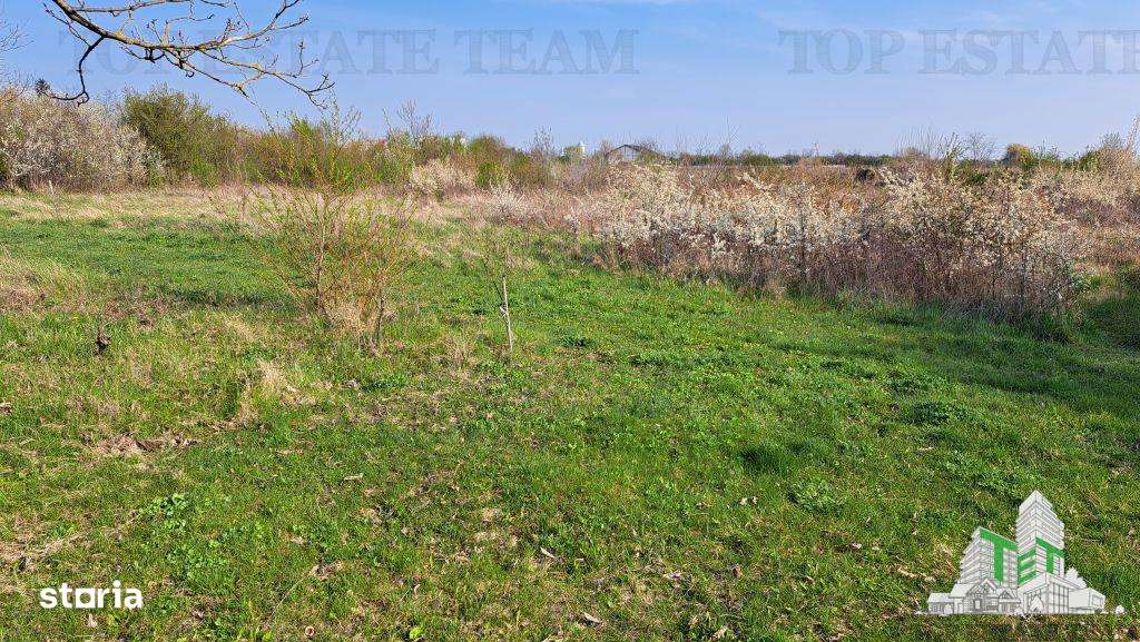 Teren 1171mp la intrare in Palanca langa Raul Sabar - Imagine principală: 4/8