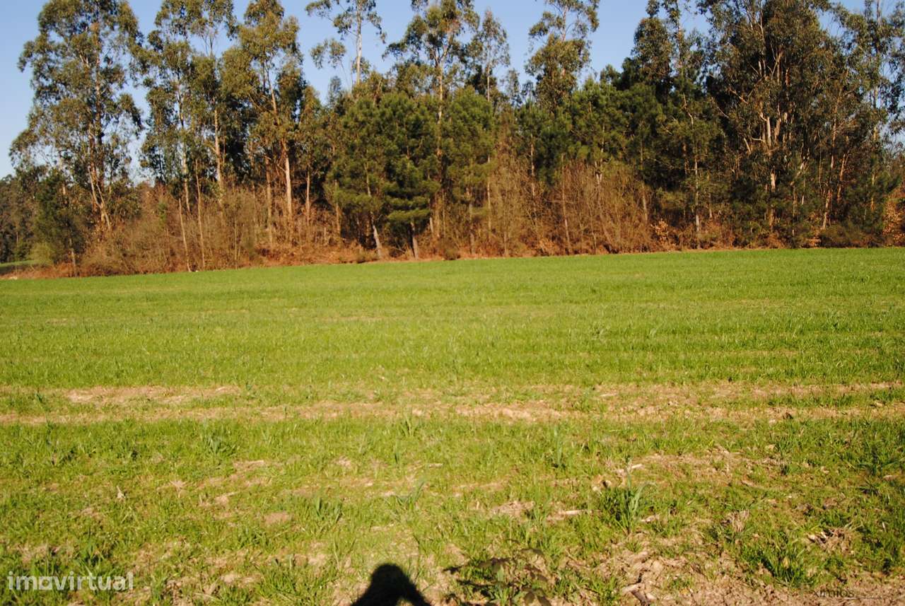 Terreno com viabilidade para construção, em Macieira da Maia - Grande imagem: 2/5