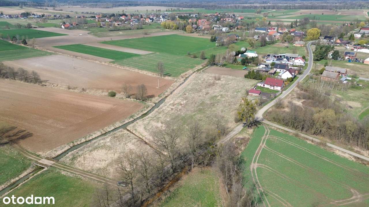 Atrakcyjna działka – 0,93 ha | Czatkowice, blisko Milicza-2