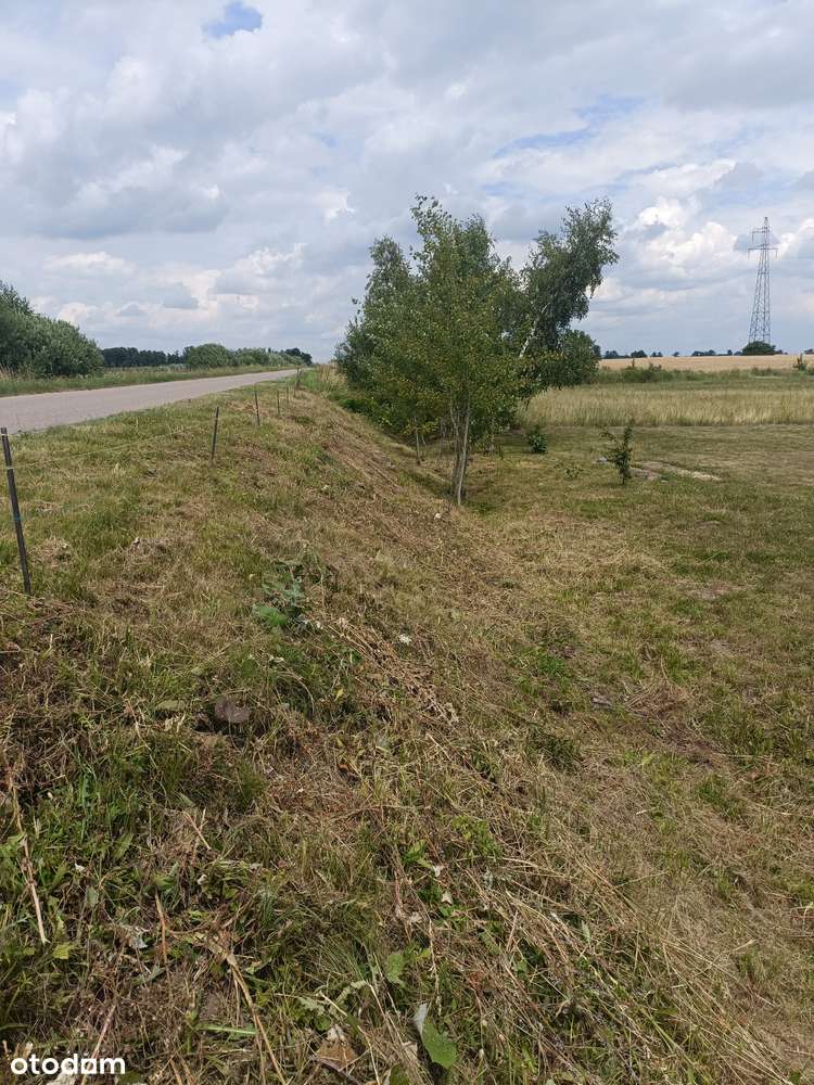 Działka budowlana 1343m2 z Warunkami Zabudowy okolice Serocka - Pełny obrazek: 5/14