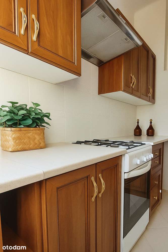 Jasna kawalerka w sercu Międzylesia - Bezpośrednio! - Pełny obrazek: 5/11