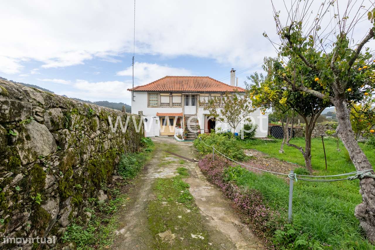 Onde a Visão Encontra a Natureza-5