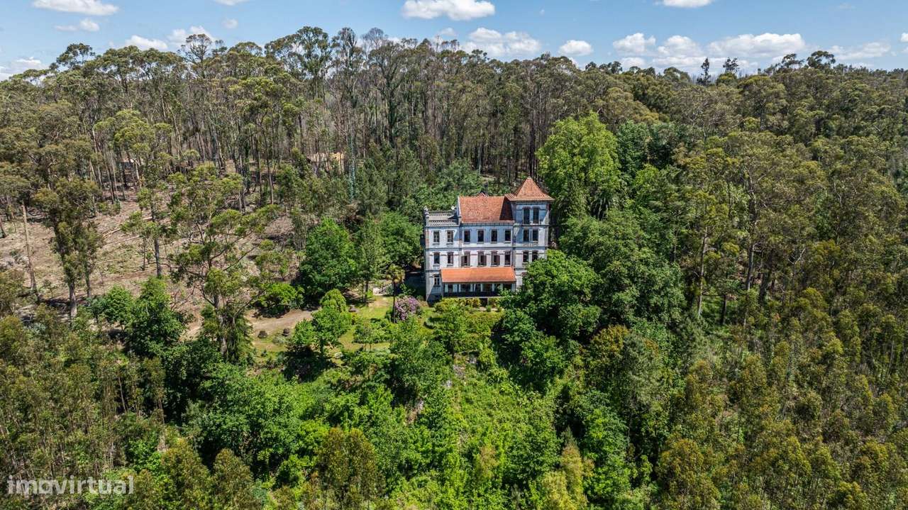 Quinta com Palacete e terreno de 50 ha em Seixoso - Felgueiras - Grande imagem: 5/59