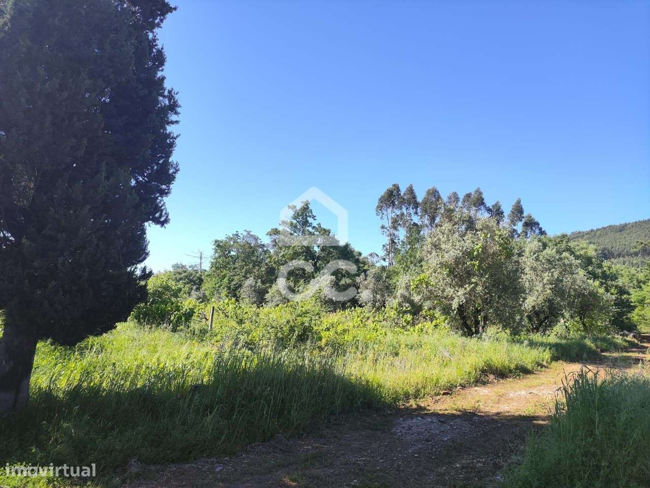 Terreno com 5710 m2 para construção, junto ao IC3, junto de Maçãs de D - Grande imagem: 2/14