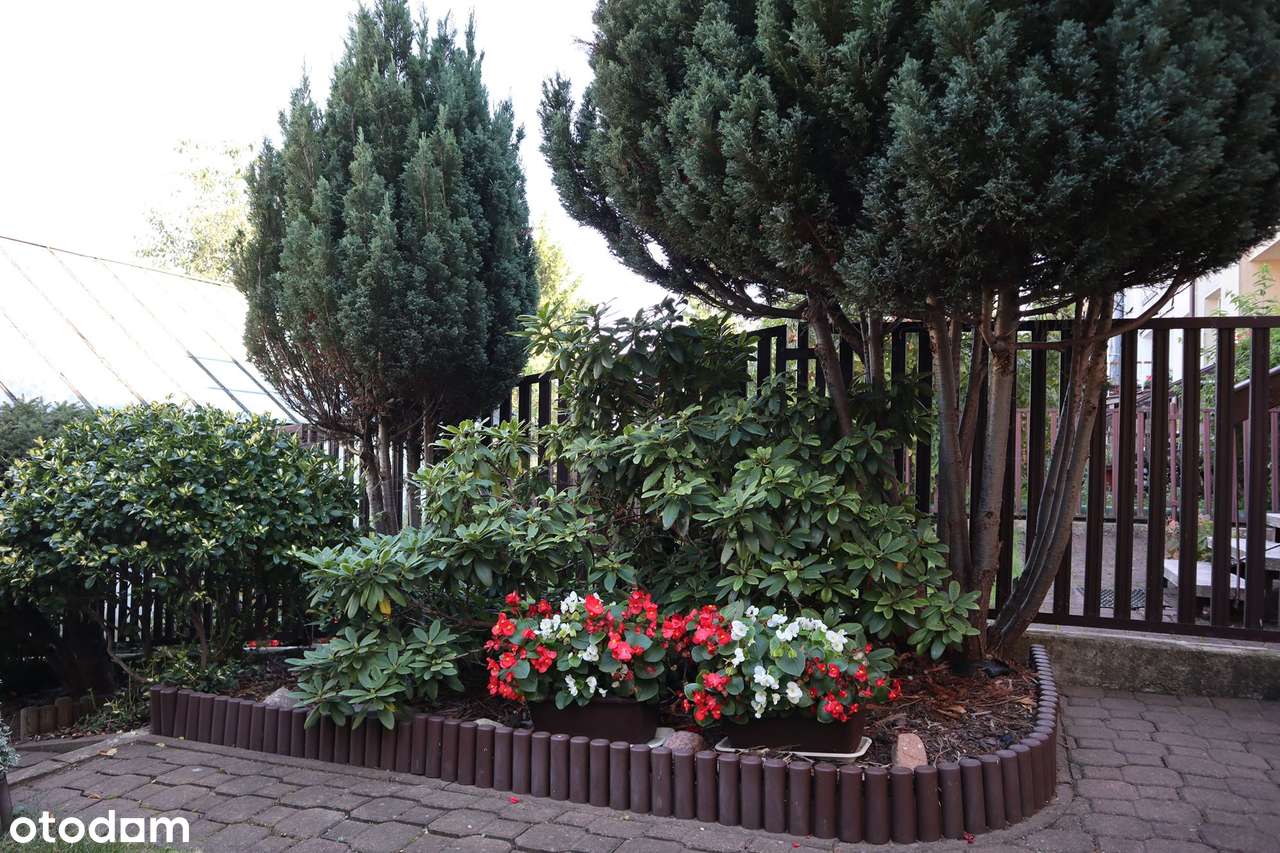 Klimatyczna skrajna szeregówka | doskonała lokalizacja | 0% prowizji-19