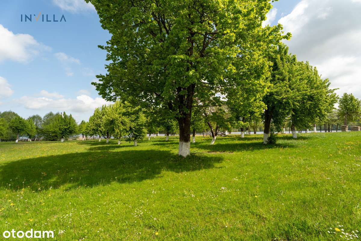 Inwestycja Nad Jeziorem, Linia Brzegowa-19