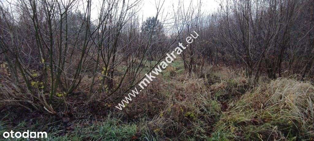 ⭐⭐⭐⭐ Działka Budowlana 4851 M Budy Grzybek ⭐⭐⭐⭐-5