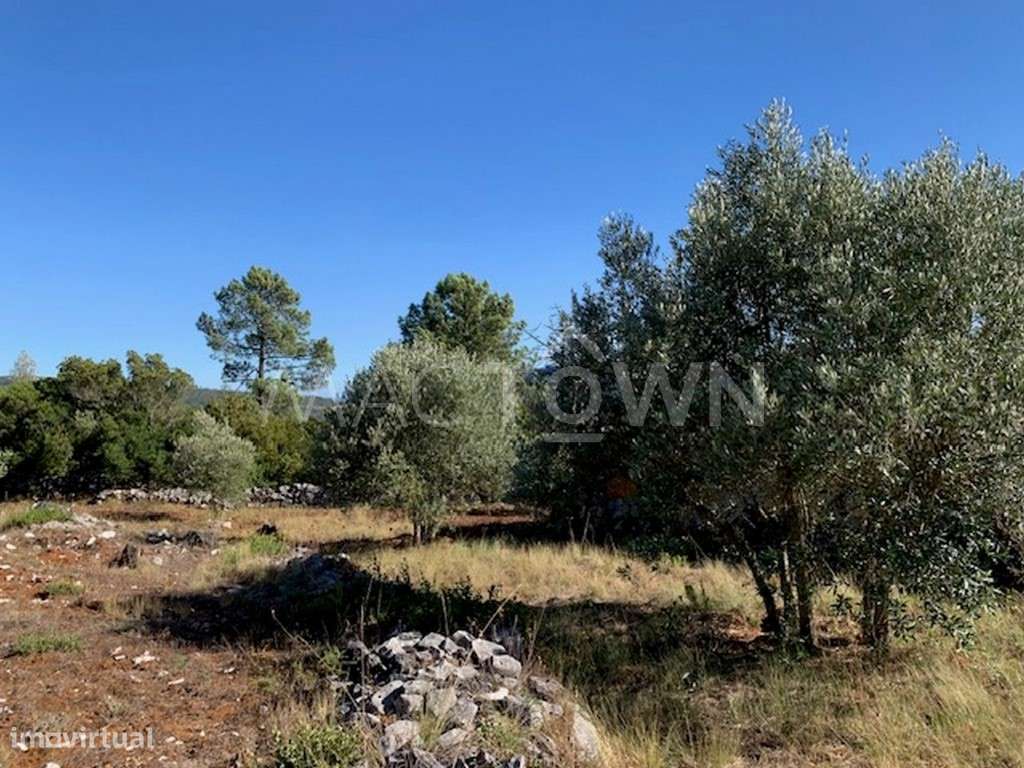 Construção de Moradia na Natureza - Grande imagem: 5/37