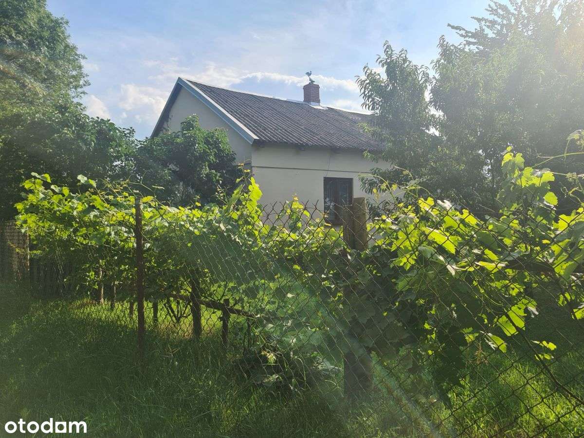 Dom 84m2 Czarzaste Błotki działka 6850m2-3