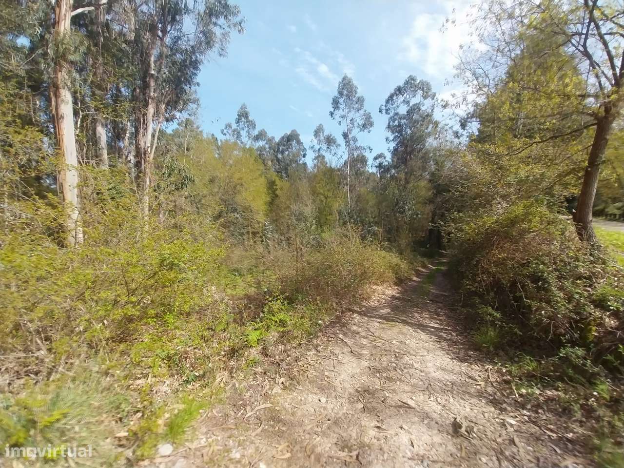 Terreno em Monção, Cortes-5