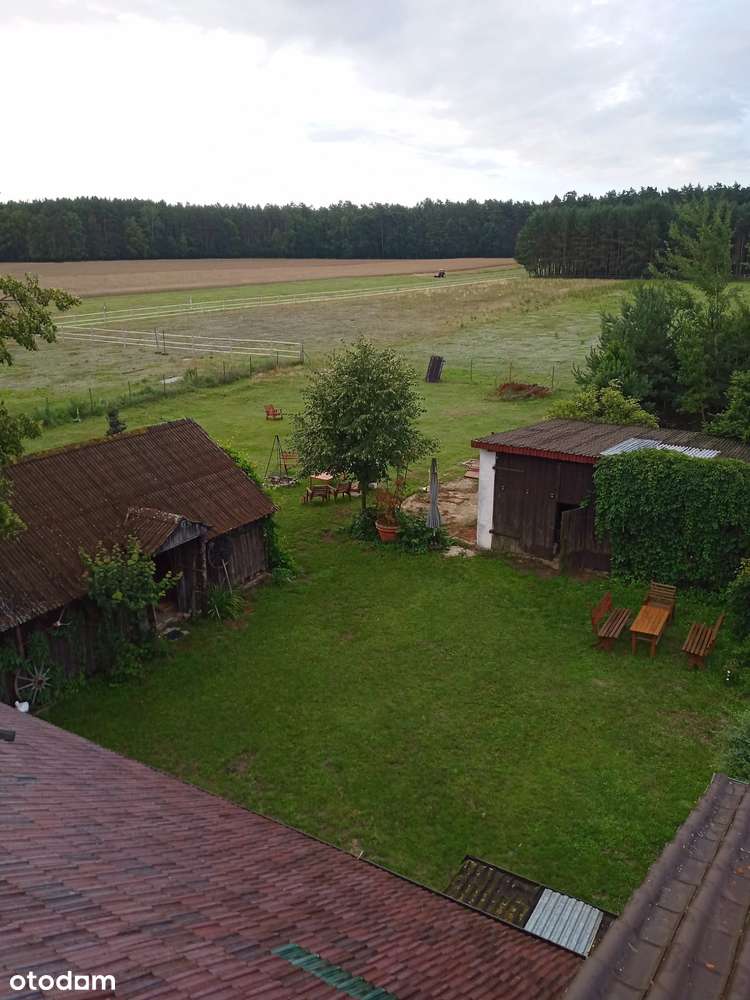 Dom, siedlisko, gospodarstwo - Pełny obrazek: 4/20