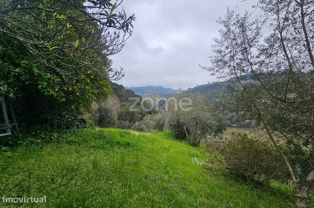 Quinta em Porto de Rei, Mesão Frio, com vistas para o Douro. - Grande imagem: 3/16