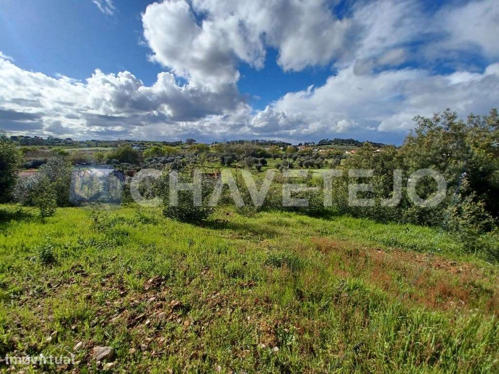 Terrenos com ruínas perto de São Pedro de Tomar. - Grande imagem: 1/15
