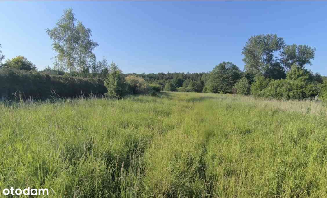 Działka budowlana 3727m2 Kolonia ul.Poręba blisko Olkusz, Sławków - Pełny obrazek: 1/9