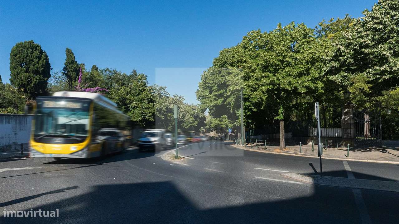 Loja | Campo de Ourique-17