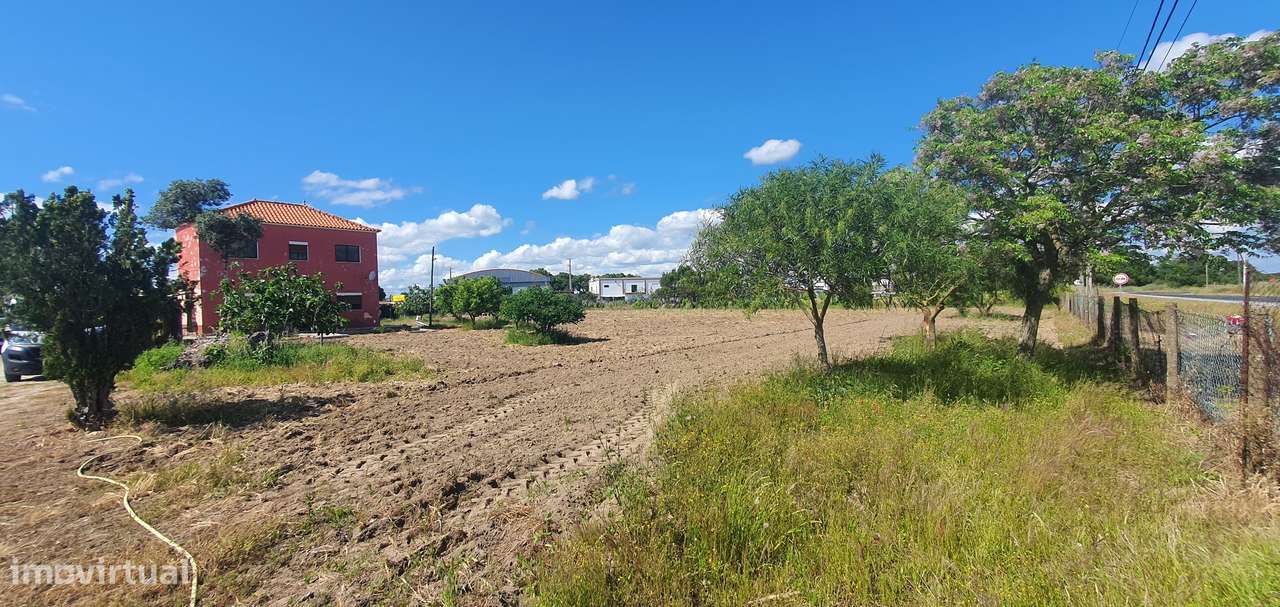 Quinta  5000m2 Viver no Campo Com a Cidade Por Perto Passil Alcochete-34