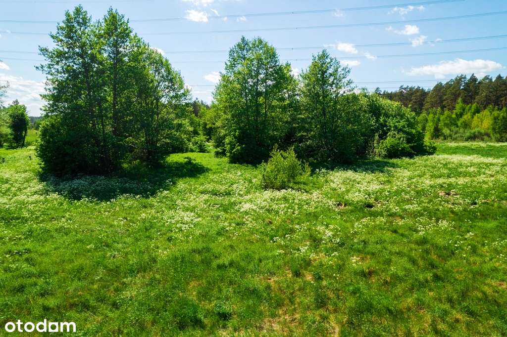 Działki budowlane w otoczeniu lasów i łąk - sielskie klimaty-9