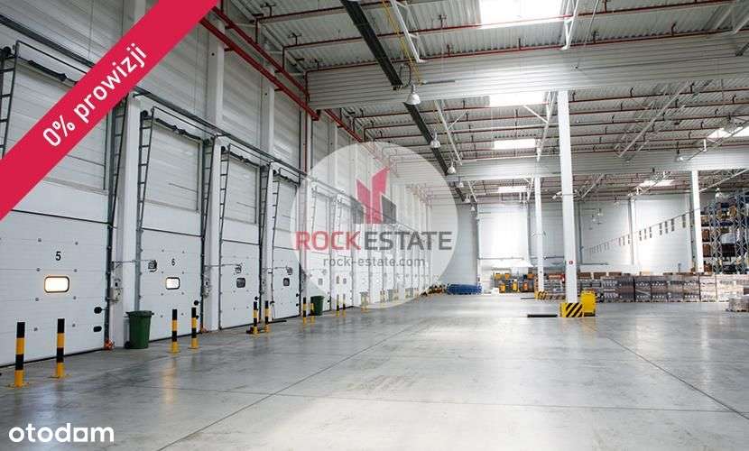 Magazyn 4590 m2 od zaraz - 0% prowizji