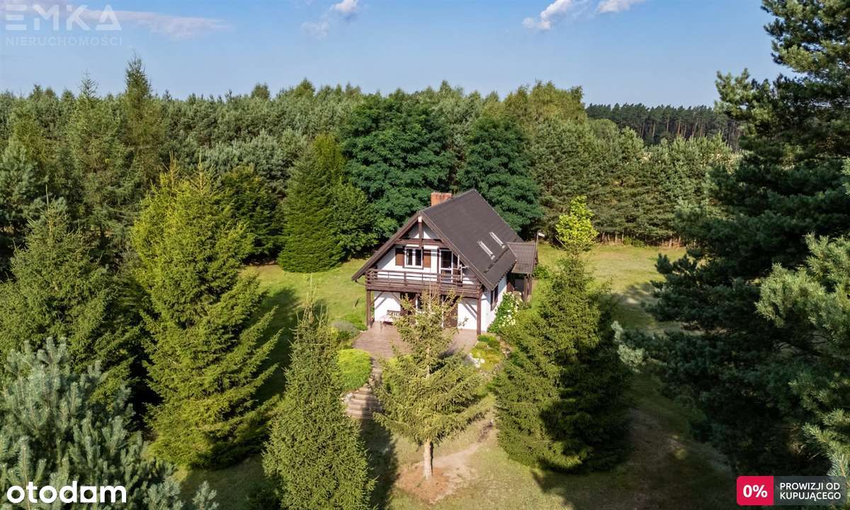Wyjątkowy dom w środku lasu, Bory Tucholskie 2,5H - Pełny obrazek: 4/20