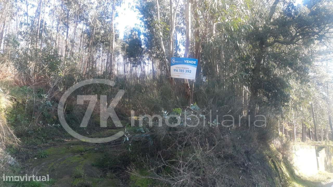 Terreno em Penhalonga-3