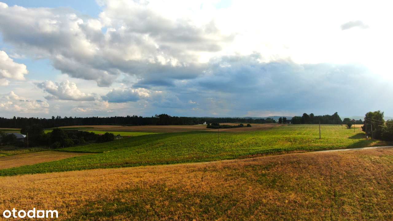 działka 1 000 m² blisko Parchowa – klimat, natura i swoboda budowy-4