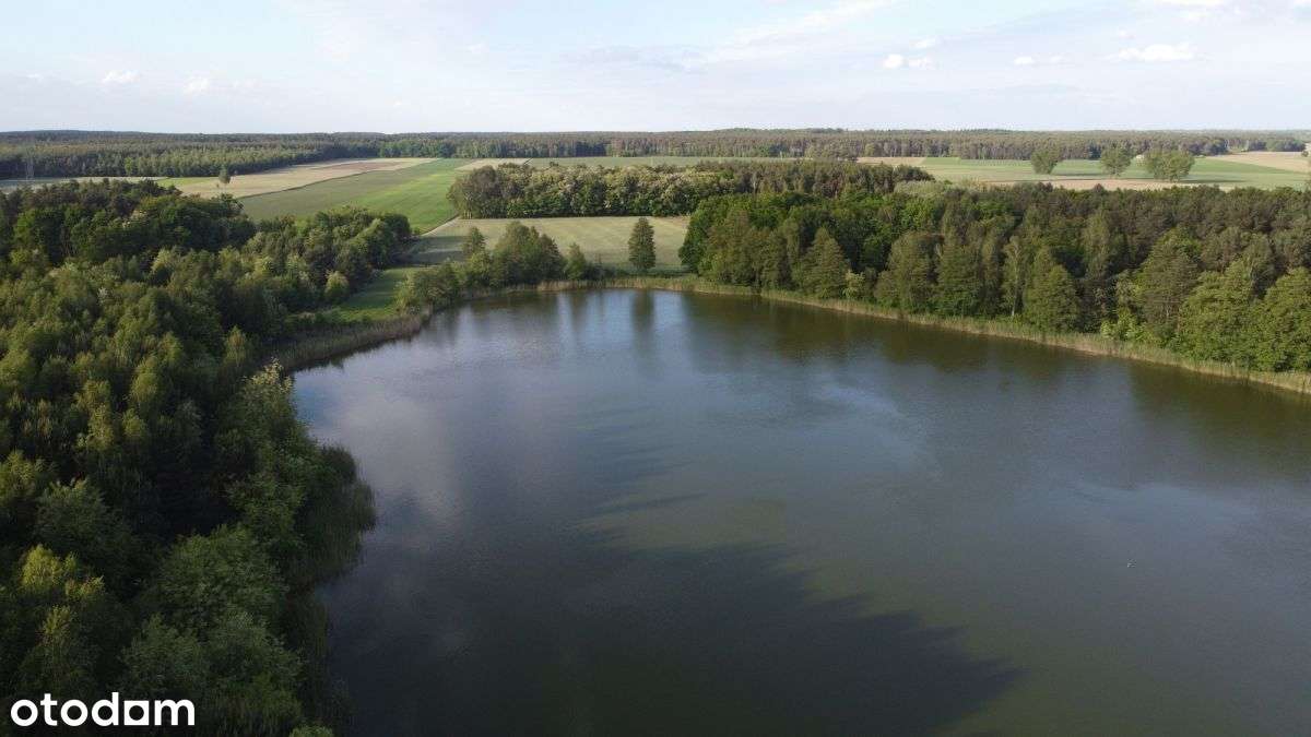 Działak Budowlana, Rekreacyjna, Linie 1198m2 WZ