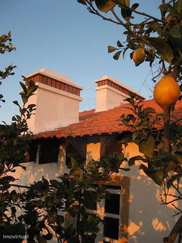 Quinta  para venda - Grande imagem: 3/20