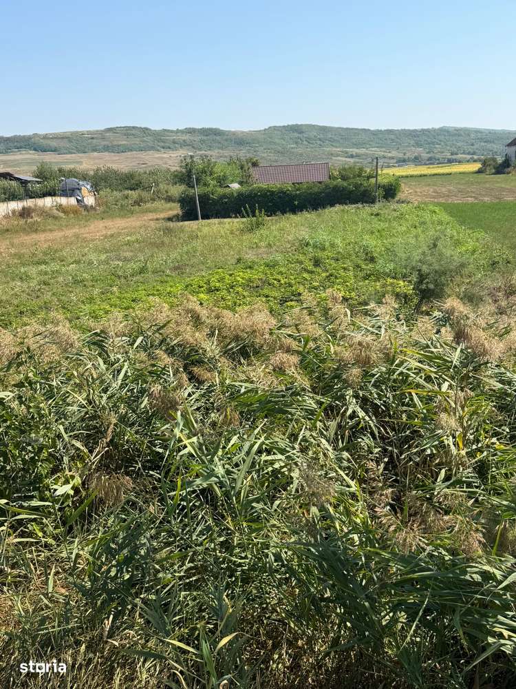 Vand Teren ITRAVILAN intersectie cu TRAIAN - BUHOCI , la STRADA-9