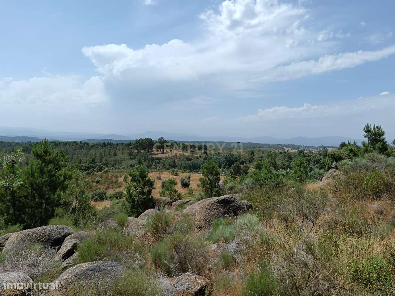 Terreno Rústico com 17200 m2 em Palvarinho, Castelo Branco - Grande imagem: 4/11