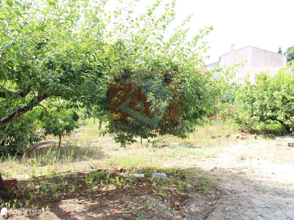 Terreno urbano no Bairro dos Pedrogãos em Caneças-8