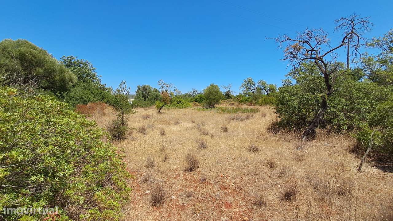 Terreno com 9.135 m² em Boliqueime-12
