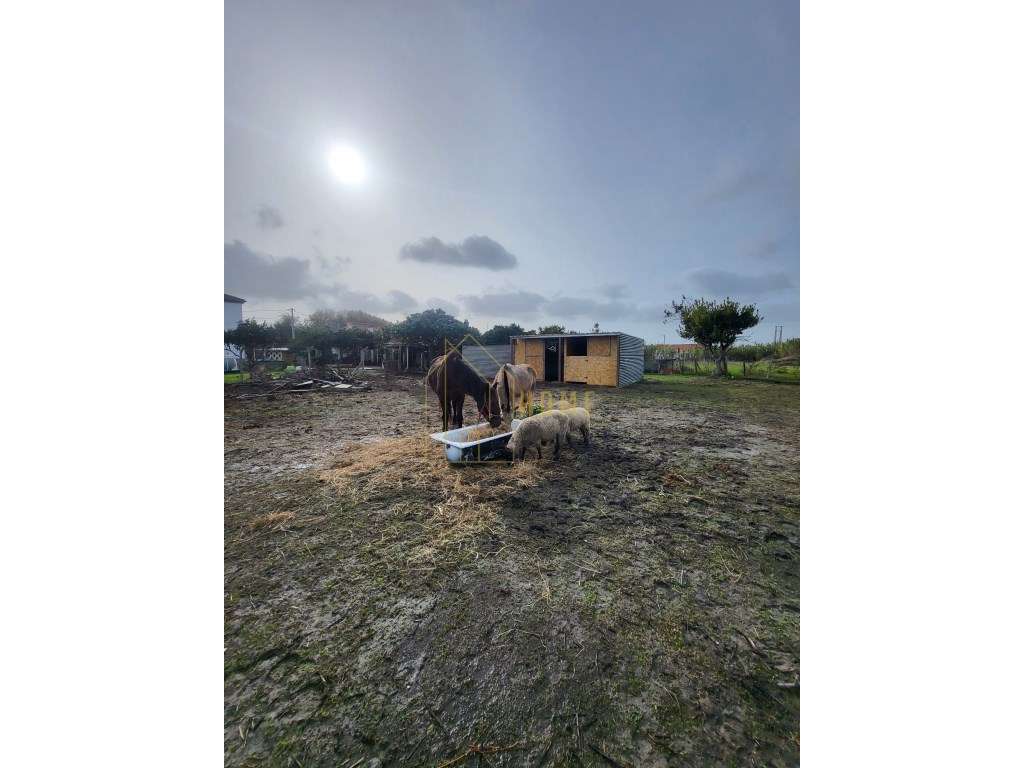 Excelente Quinta Bi familiar ou de Investimento-41