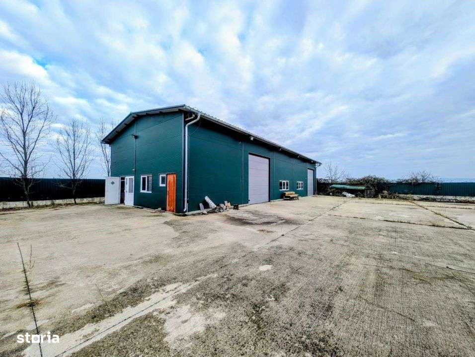 Hala de inchiriat – Hodis, comuna Holod - Imagine principală: 2/6