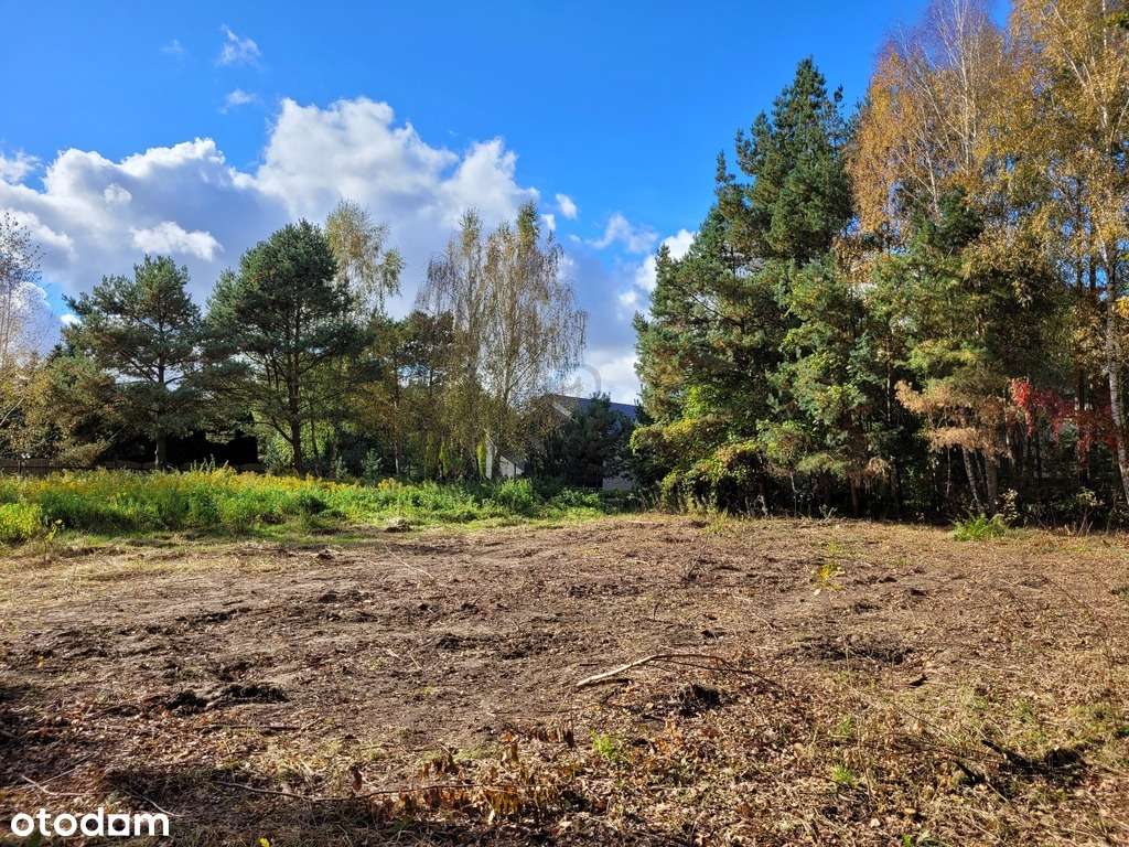 Działka przy ściane lasu! ul. Fiołkowa Chwalęcice! - Pełny obrazek: 5/16