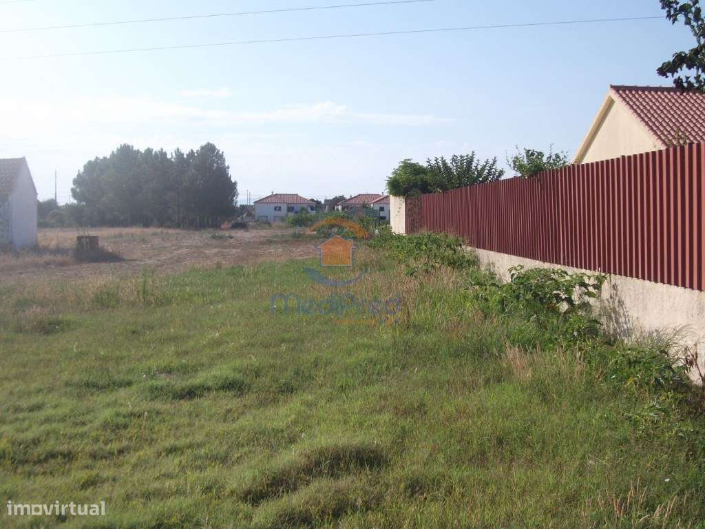 Lote com 7.000m2 em Foros de Salvaterra - Grande imagem: 3/4