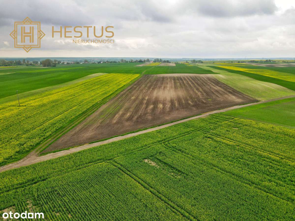 Działka inwestycyjna blisko Zalewu Żółtańce - Pełny obrazek: 2/11