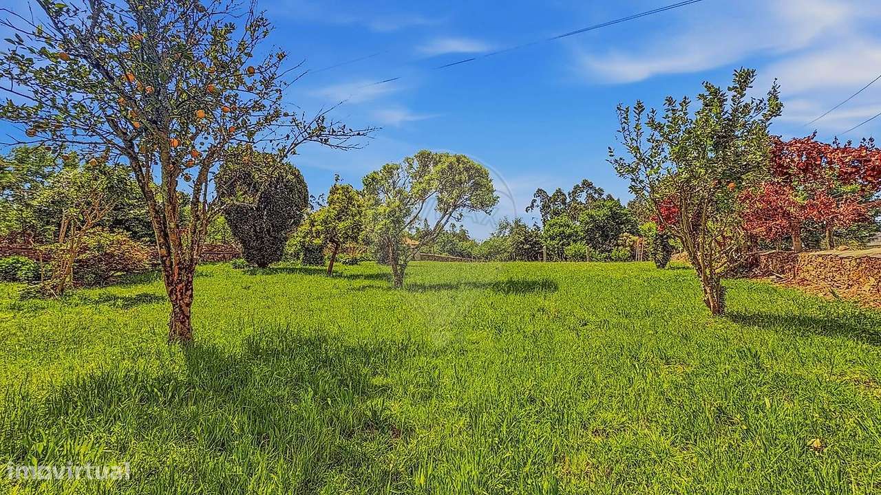 Quinta T4 para venda-21