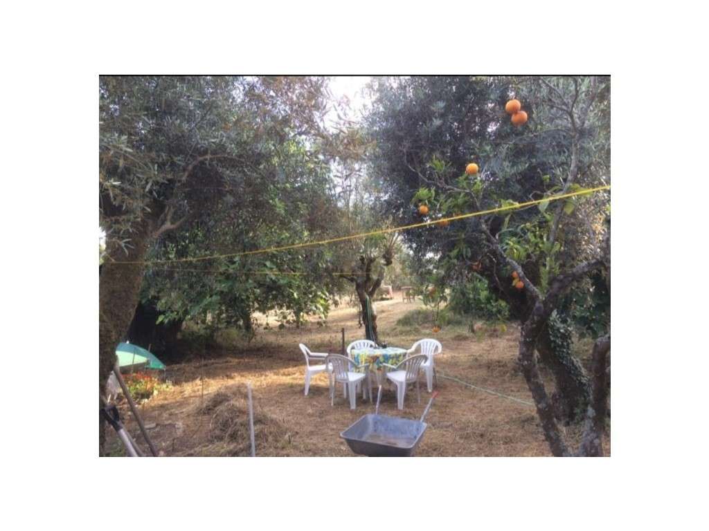 Moradia tipologia T2-41