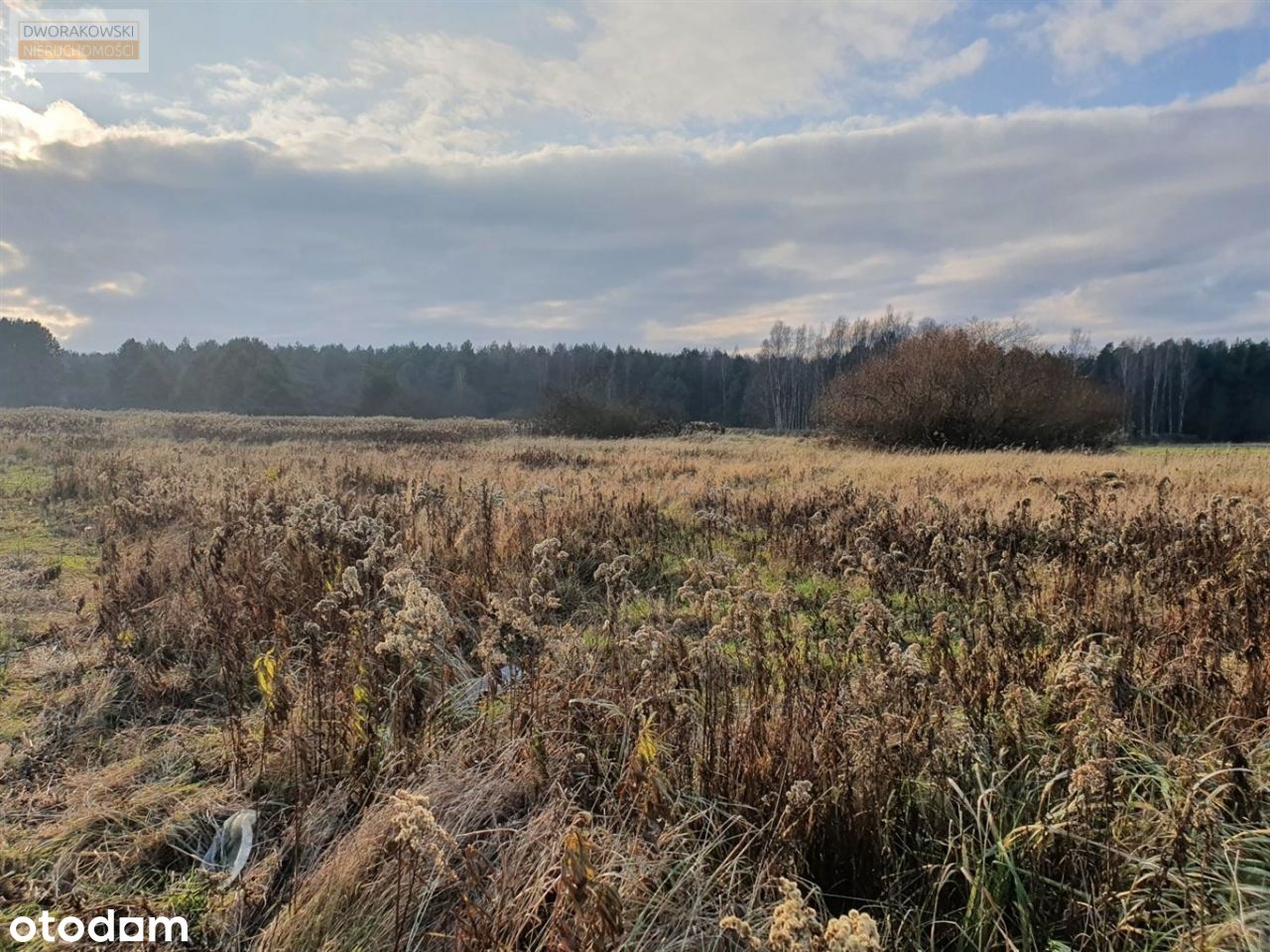 Działka bud/uzbrojona/Malerzów wśród lasów