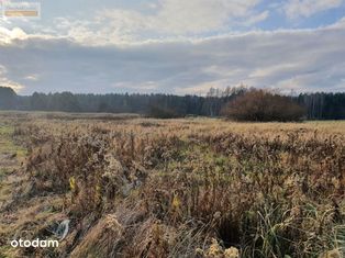 Działka bud/uzbrojona/Malerzów wśród lasów