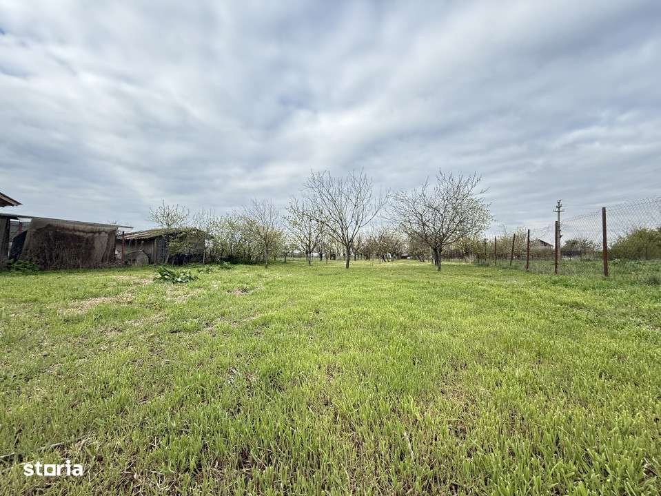 Casa cu livada Izvorani la 300m de Lacul Snagov asfalt si utilitati-18