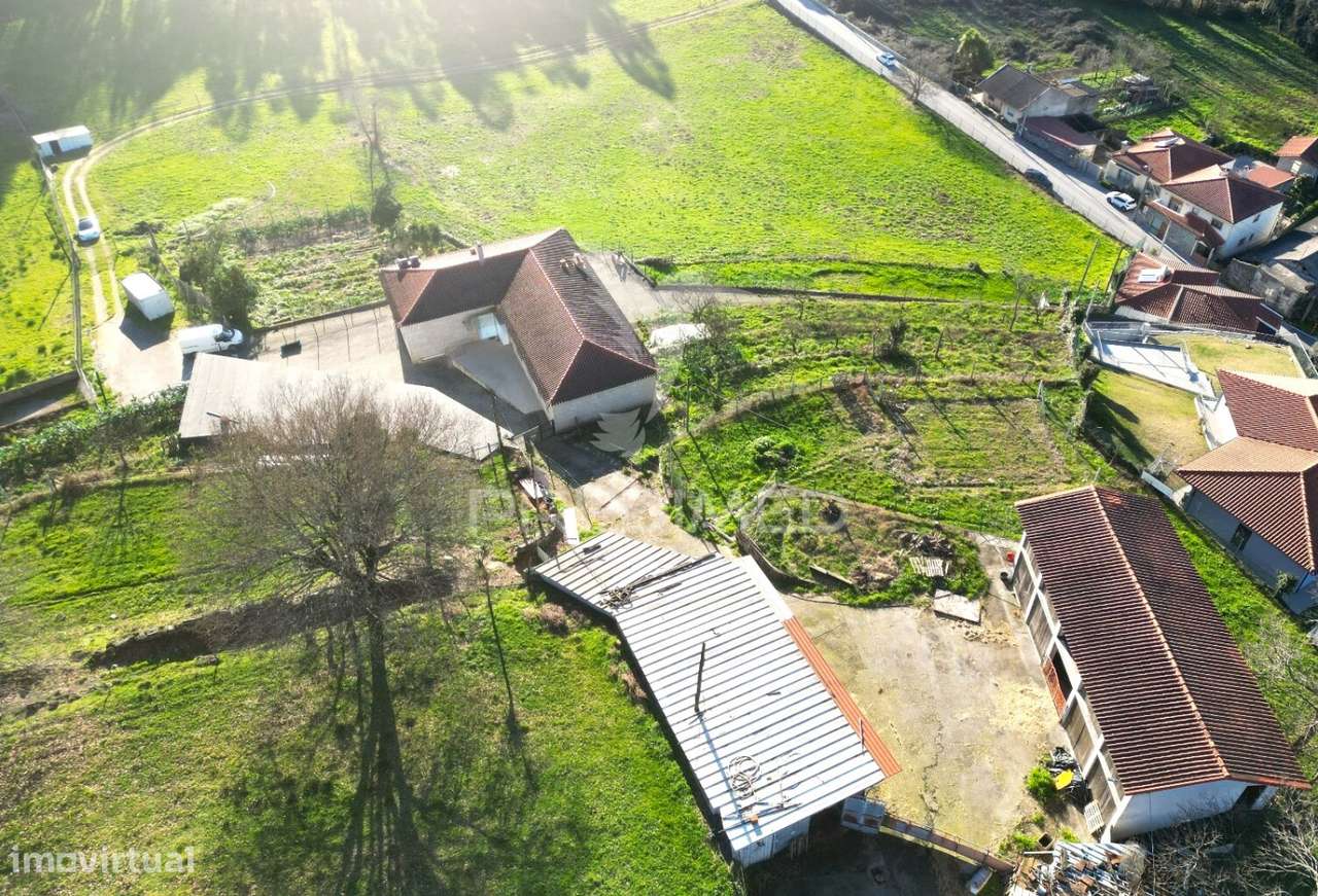 Quinta com 11 Hectares, em Guimarães - Grande imagem: 5/16