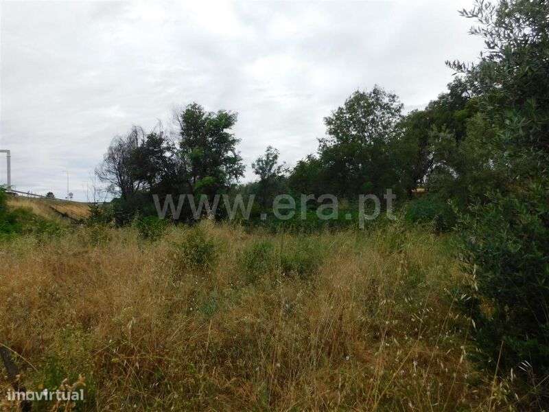 Terreno / Fundão, Soalheira - Grande imagem: 4/5