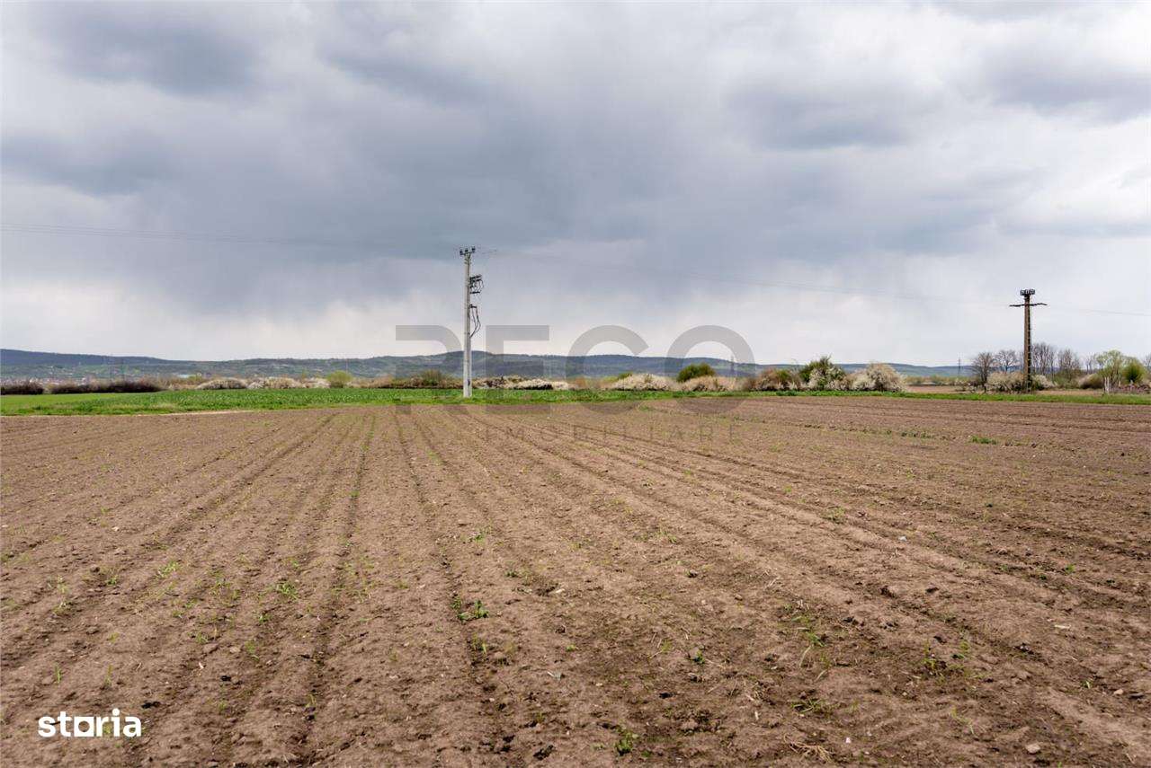 RECO . TEREN INTRAVILAN OSORHEI - Imagine principală: 5/12