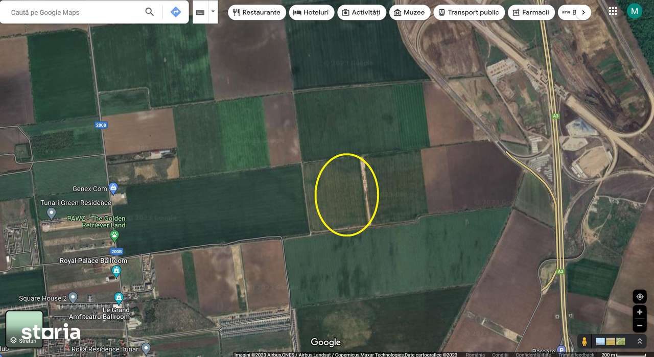 Teren 11.800 mp Tunari TARLAUA 24N - Imagine principală: 3/4