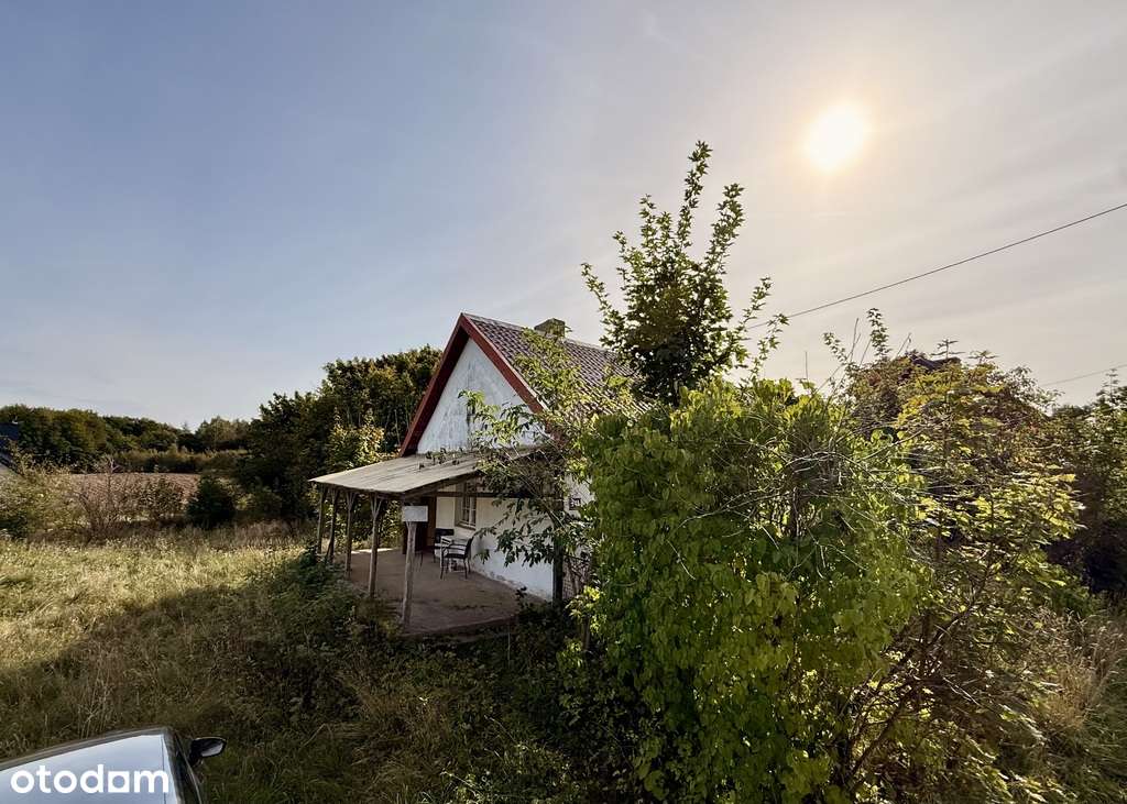 Michalin | bajeczna działka | dom - Pełny obrazek: 4/17