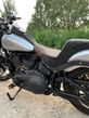 Harley-Davidson Softail - 14