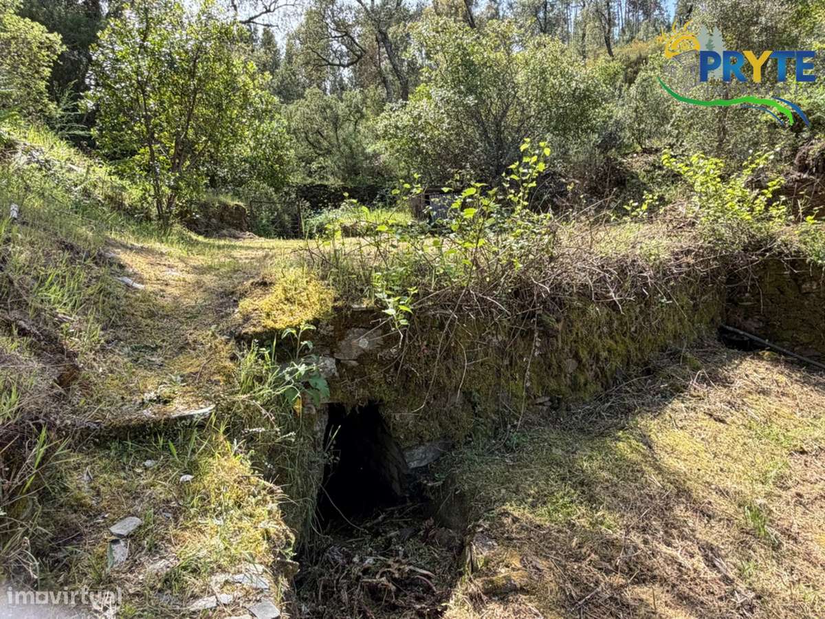 Terreno com uma ruína não registada a 6 quilómetros da Sertã-23
