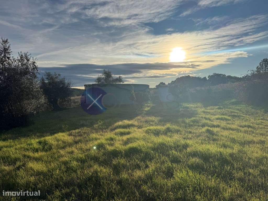 Monte Alentejano de 4 Hectares na região de Cabeção / Mora - Privac... - Grande imagem: 2/30