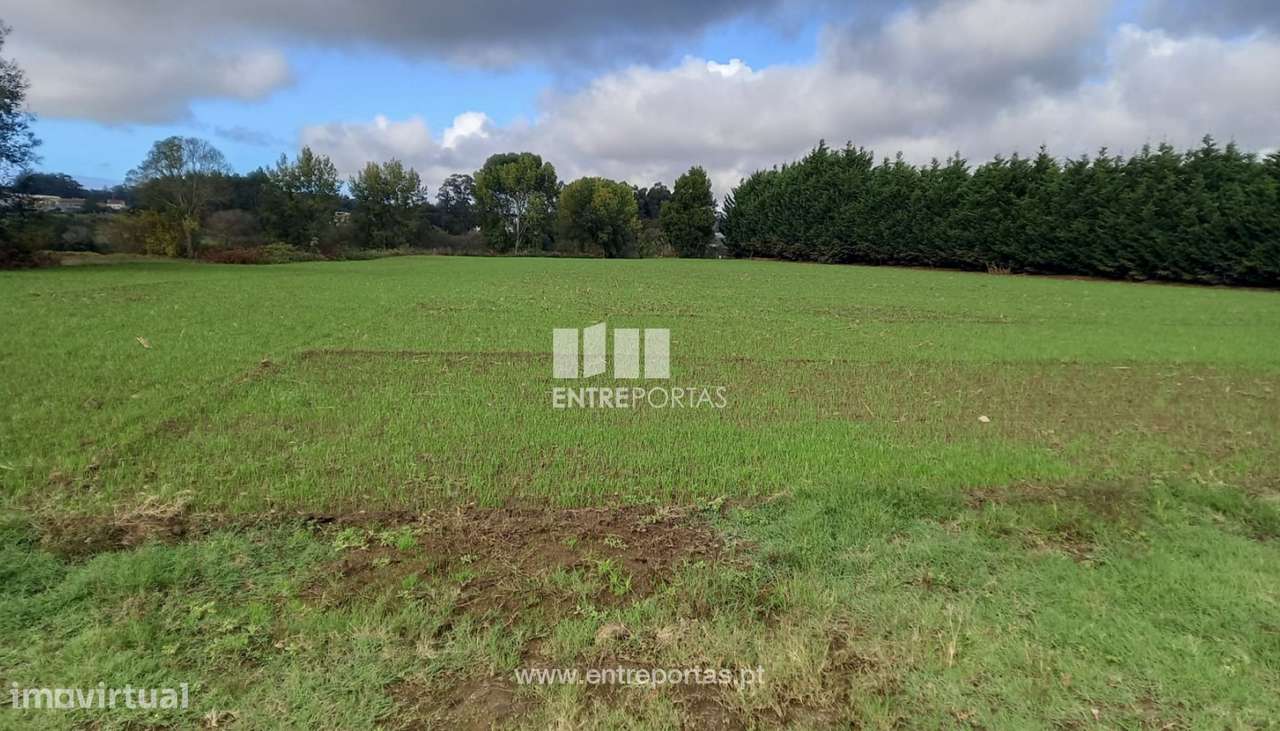 Venda de Terreno agrícola com 2309 m2, Tougues, Vila do Conde - Grande imagem: 5/6
